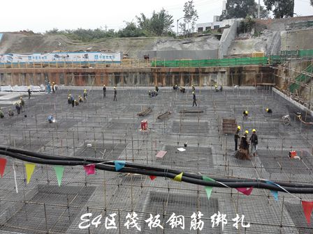 E4区筏板钢筋绑扎_副本.jpg
