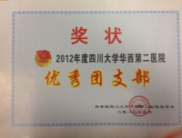 祝贺我院团委医技二支部荣获“优秀团支部”称号