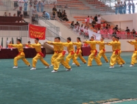 祝贺医院保卫部应急中队在省卫计委运动会上取得佳绩