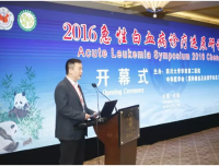 2016急性白血病诊疗进展研讨会会议纪要
