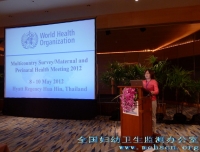 朱军教授参加WHO全球孕产妇和新生儿儿童健康研究研讨会