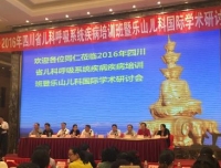 祝贺2016年国家级继续教育项目四川省儿科呼吸系统疾病培训班胜利召开
