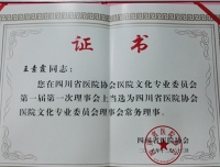 我院参加四川省医院协会医院文化专业委员会成立大会暨首届学术会