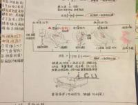 护理规培党支部组织“十佳康奈尔读书笔记”评选活动