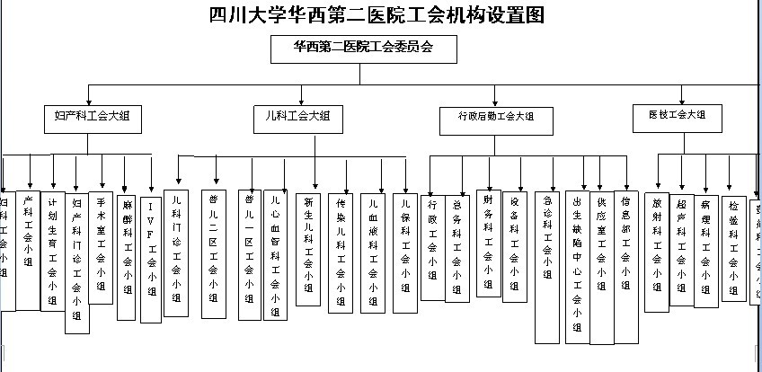 组织架构-工会-科室导航-正规十大信誉赌博平台大全-十大靠谱网络平台