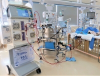 儿童重症医学科成功开展ECMO动物实验