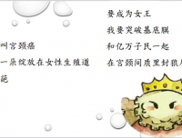 宫颈病变科普知识