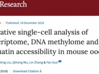 Guo Fan's research team published a paper to establish a multi-omics map of mouse oocytes in the journal Cell Research