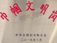 祝贺新生儿科荣获全国巾帼文明岗