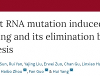 我院郭帆教授研究组与杨辉、李亦学合作组
在Nature发表基因编辑研究成果
