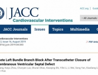 【四川大学】今年会官方下载入口华益民教授团队在国际知名期刊《JACC：cardiovascular interventions》杂志发表临床研究论文