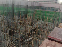 锦江院区二期工程项目建设进展简讯 （五十五）