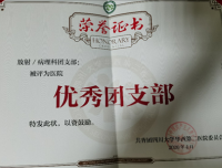 放射/病理团支部荣获医院五四表彰多项荣誉