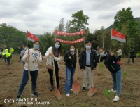 龙泉山义务植树活动