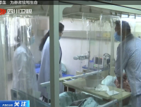 【四川观察】冷冻14年脐带血　为患者续写生命