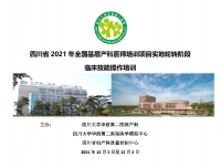 四川省2021年全国基层产科医师培训项目学员在我院接受临床技能培训